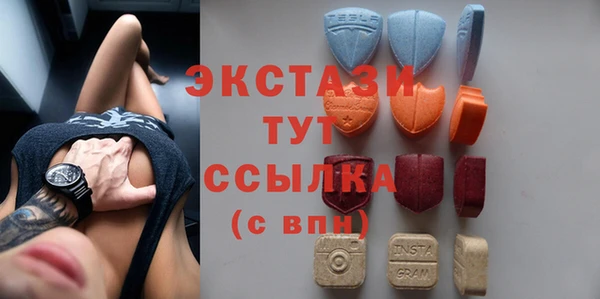 шишки Лабытнанги