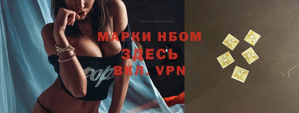 шишки Лабытнанги