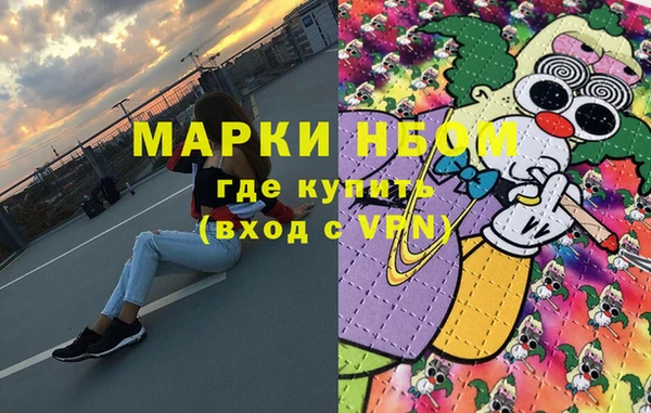 шишки Лабытнанги