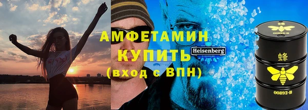 шишки Лабытнанги