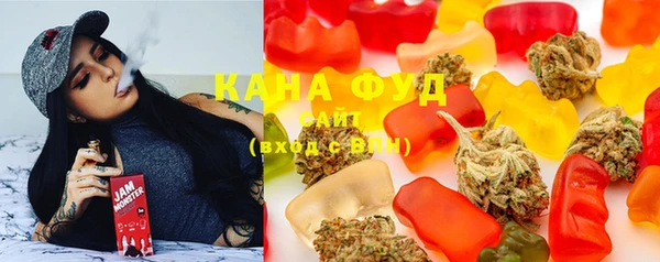 шишки Лабытнанги